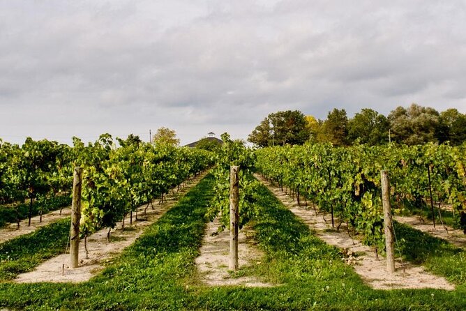 Niagara County Wine Tour and Tasting - Questions About Your Stay