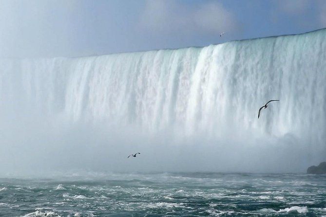 Niagara Falls Sightseeing Tour With Lunch or Dinner - Customer Reviews and Feedback