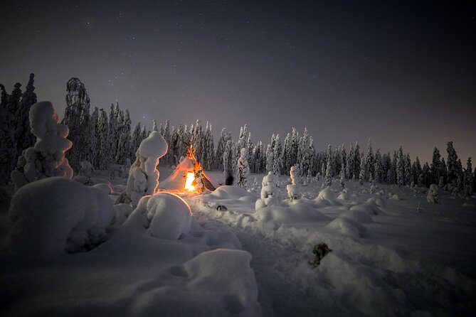 Night Snowshoeing Adventure Under the Northern Lights - Booking and Pricing Information