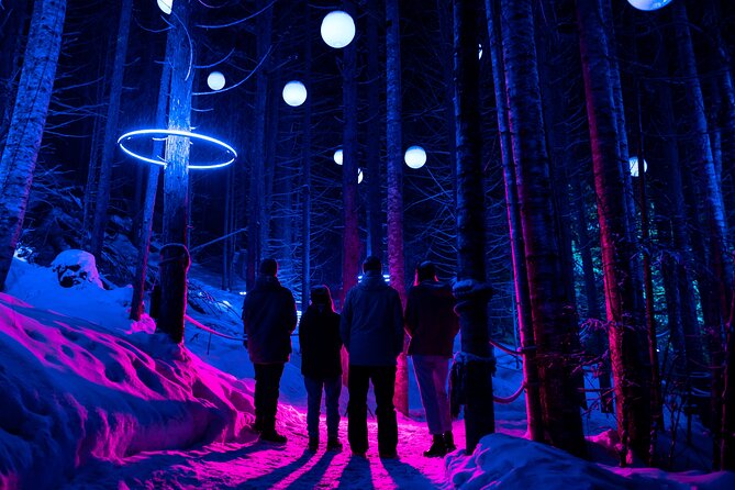 Night Zipline + Vallea Lumina Multimedia Night Walk - Highlights of the Activity