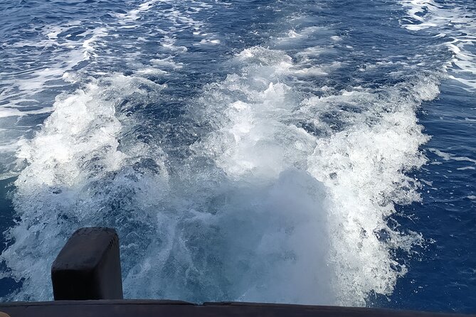 Nightly Squid Fishing - Private Tour - Aeolian Islands Exploration