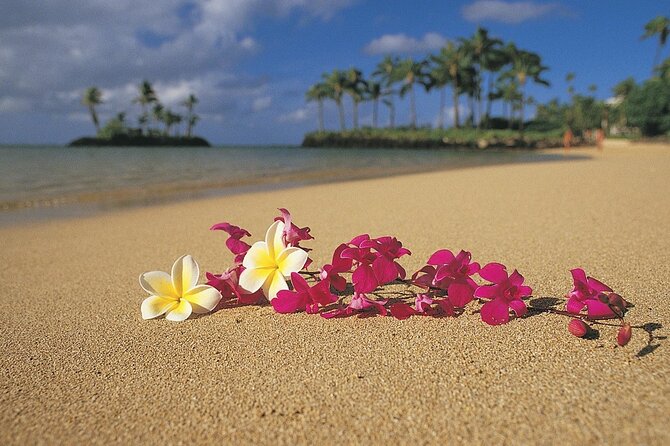 North Shore Private Tour - Accessibility Features