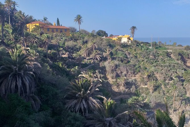 North Tenerifes Mysteries - Trekking Through Laurisilva Forests