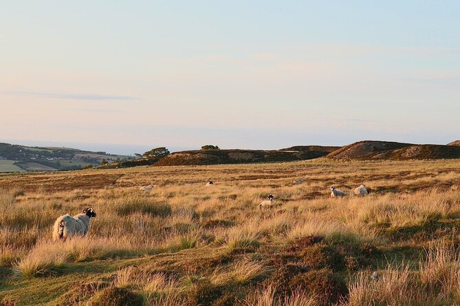 North York Moors Tour App, Hidden Gems Game and Big Britain Quiz (7 Day Pass) UK - Accessibility Considerations