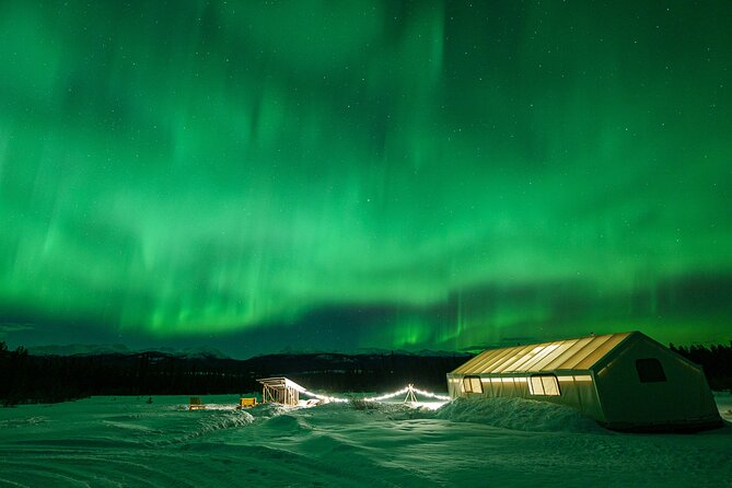 Northern Lights & Aurora Borealis Viewing - Small Groups - Ratings and Reviews