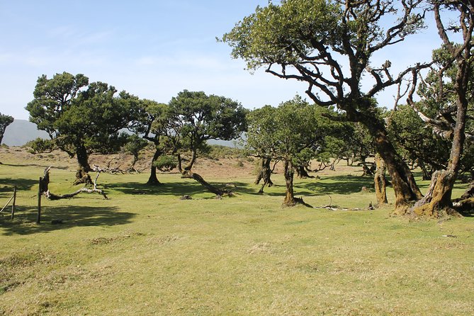 Northwest Landscapes, UNESCO & Volcanic Pools 4x4 Experience - Booking and Cancellation Policies