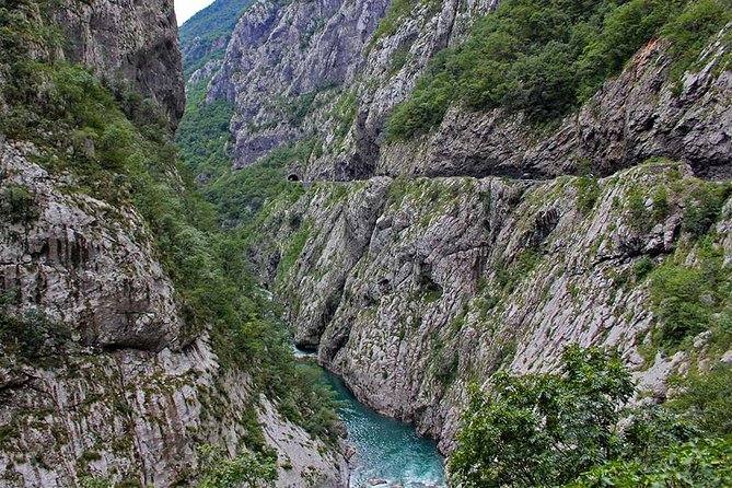 NP Biogradska Gora and Canyon Moraca (Private Tour) - Reviews and Ratings