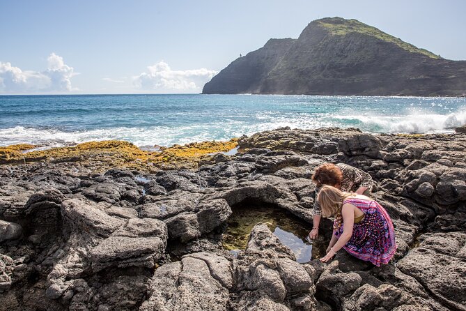 Oahu Personalized Private Tour - Pricing Structure and Policies