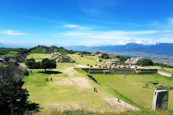 Oaxaca Conmigo Private Tours - Booking Information and Policies