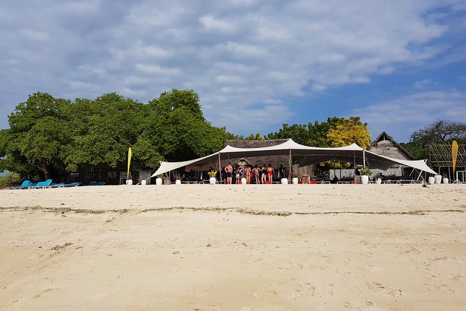 Ocean Safari Tour - Explore Zanzibars Marine Life