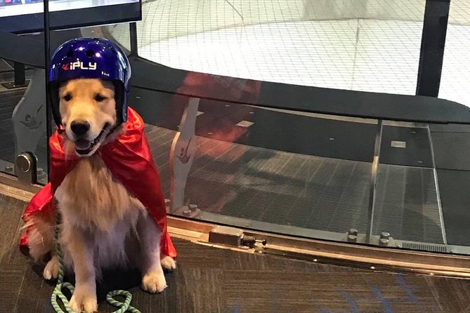 Oceanside Indoor Skydiving Experience With 2 Flights & Personalized Certificate - Whats Included in the Package
