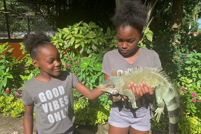 Ocho Rios Highlight & Blue Hole - Full Day Tour - Pricing and Policies