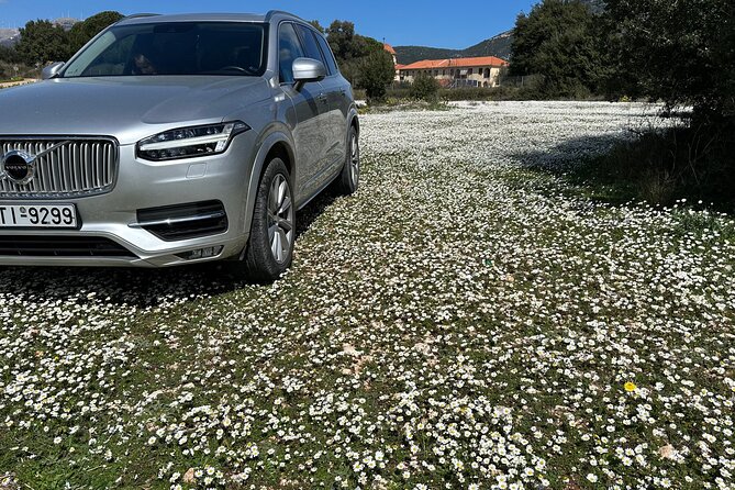 Off-Road Wine Fiesta at Cephalonia - Host Interaction and Responsiveness