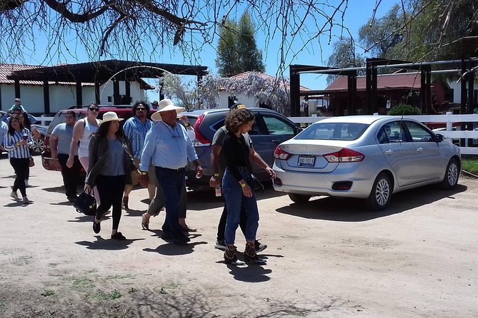 Ojos Negros Valley Wine and Cheese Route Tour in Baja California - Accessibility and Restrictions