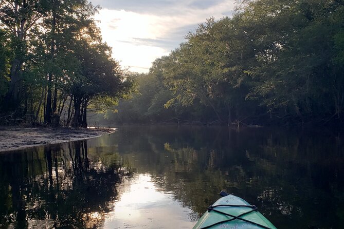 Okefenokee Swamp: Guided Kayak Tour With a Local Naturalist - Wildlife Spotting Along the Way