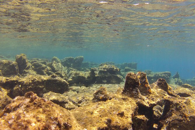 Olous – Guided Snorkelling Excursion to Discover Olous Sunken Ancient City - Marine Life and Underwater Exploration