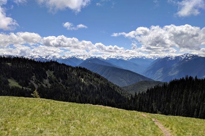 Olympic National Park Luxury Small-Group Day Tour With Lunch - Guest Experiences and Reviews