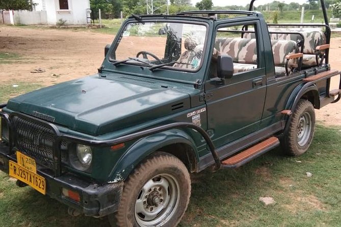 On the Tigers Trail: Delhi to Ranthambhore 1 Night Trip With 2 Jeep Safaris - Important Travel Considerations