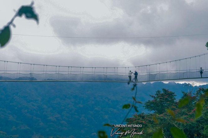One Day Nyungwe National Park Tour& Canopy Walk (2 Pax Min) - Health and Safety