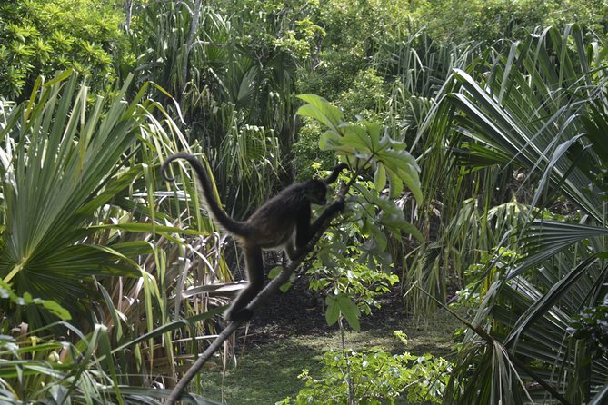One Day Tour to Chacchoben Mayan City and Bacalar Lagoon With a Certified Guide - Included Meals and Activities