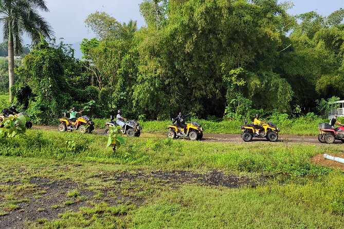 Oneway Transfer- San Juan (SJU,hotel,airbnb,port) to Dorado City - Inclusions and Accessibility