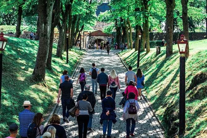 Oslo City Private Walking Tour - Customer Feedback