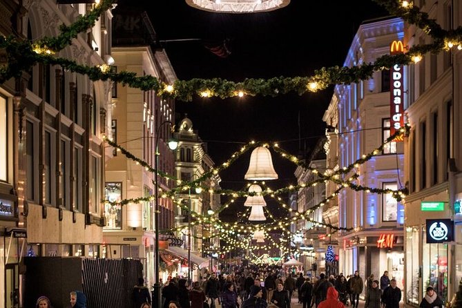 Oslo: Private VIP City Tour by Luxury Minivan With Driver & Guide - Weather Considerations
