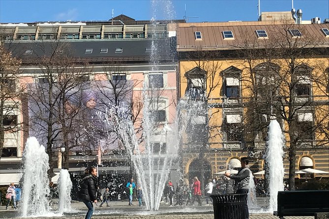 Oslo Sights by Car - Accessibility and Booking Information