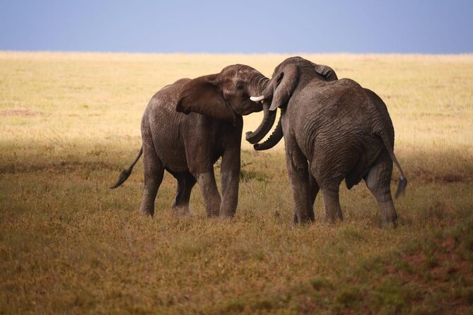 Our Top-best 3 Day Tanzania Joining Group Safari - Tour Inclusions and Exclusions