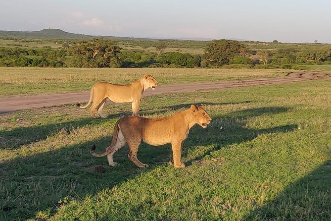 Overnight Amboseli National Park Safari From Nairobi - Addressing Unforeseen Events