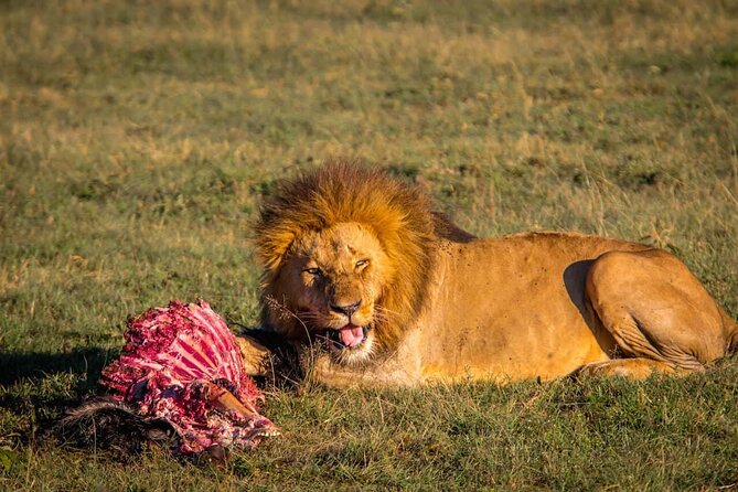 Overnight Safari To Maasai Mara - Exploring the Mara River