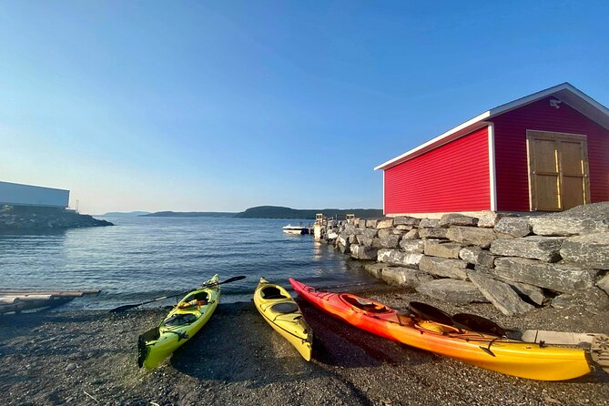 Paddle the Bay of Islands: 2 Hours Guided Kayak Experience - Whats Included