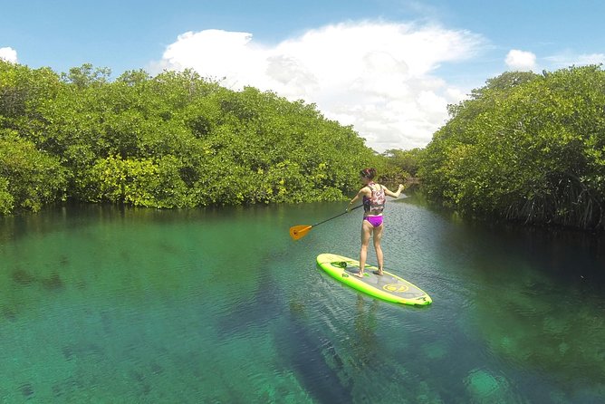 Paddleboard Cenote Tour - Accessibility and Participation