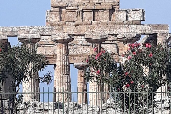 Paestum Park and Bufalo Farm Day Tour From Sorrento - Reviews and Ratings