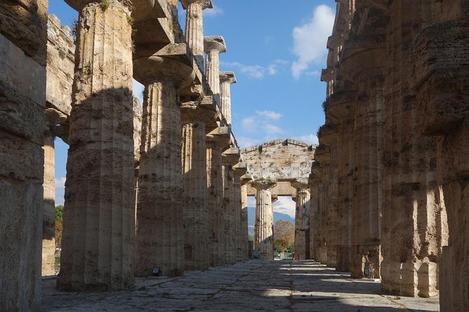 Paestum Private: Temples & Archaeological Museum With Your Local Archaeologist - Pricing Information