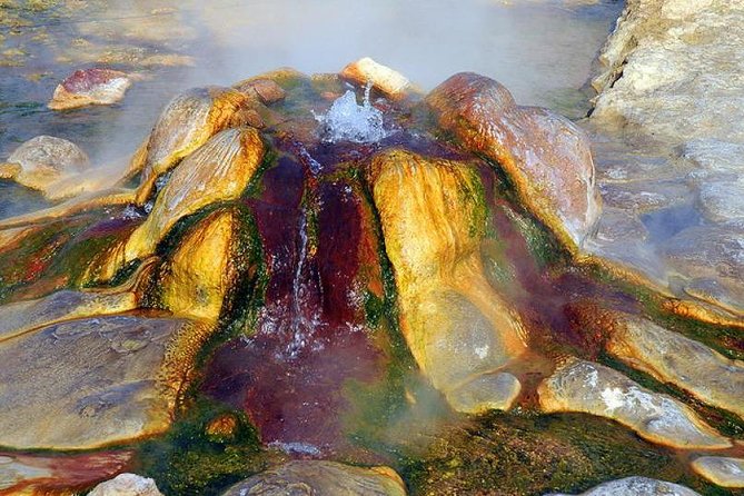 Pamukkale, Cleopatra's Pool, Hieropolis From Antalya With Lunch - Cleopatras Pool Experience