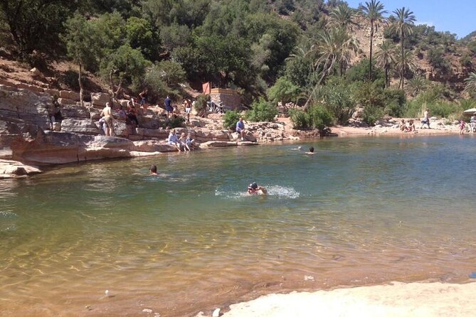 Paradise Valley and Atlas Mountains Adventure in Agadir - Traveler Feedback and Ratings