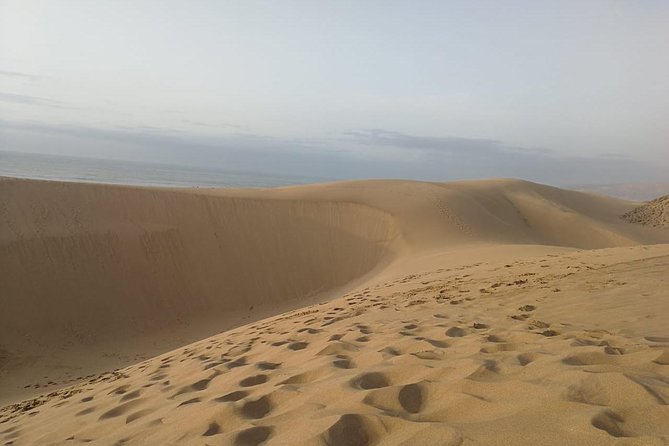 Paradise Valley and Desert Dunes Trip From Agadir & Taghazout - Pickup and Departure Details