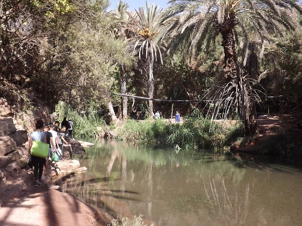Paradise Valley Half Day From Agadir - Meet the Berber Women
