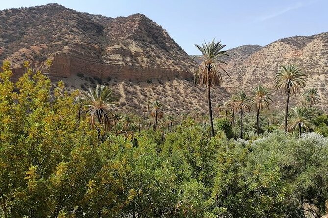 Paradise Valley Trekking - Pickup Details