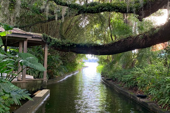 Peacocks, Presidents and Puzzles - The Winter Park Walking Tour + Boat - Navigating the Scenic Boat Ride