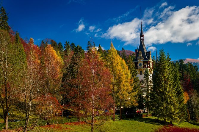 Peles Royal Castle & Wine Tasting - 9 Hours - Pricing and Payment