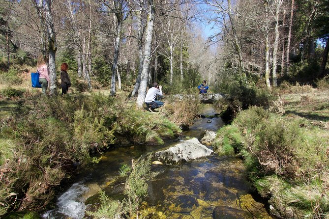 Peneda-Gerês National Park Private Full-Day Tour  - Braga - Discovering the Landscapes