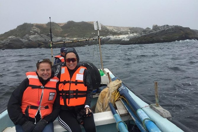 Penguins Watching-Navigation & HorseRide&Barbecue From VALPARAISO - Inclusions and Tour Specifications