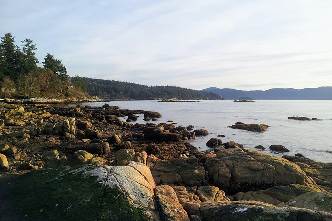 Peninsula Highlights - Customizing Your Adventure