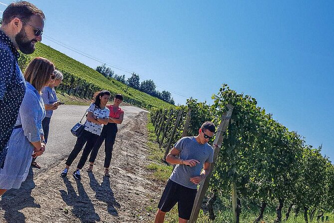 Personalized Wine and Food Experiences in Alba - Transportation and Arrival Details