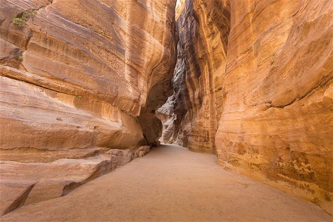 Petra and Wadi Rum 2 Day Tour From Eilat - Customer Reviews