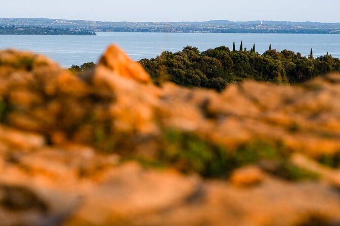 Photographic Tour at Sunset on Lake Garda - Services Included in the Tour