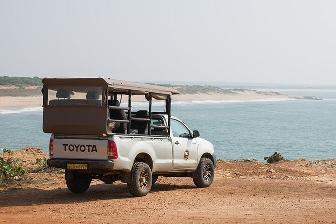 Pick up Hambantota Cruise Ship: Udawalawe National Park Safari - Wildlife Spotting Opportunities