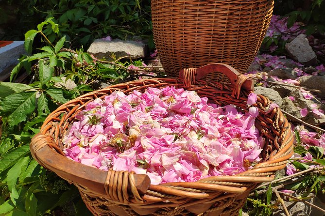 Picking Roses Workshop & Extracting Rose Oil in the Rose Valley - Accessibility and Transport